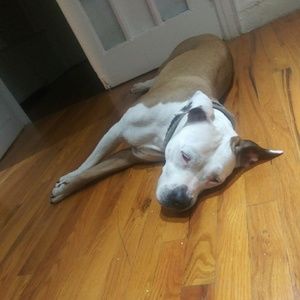 Meet your Posher, Nena